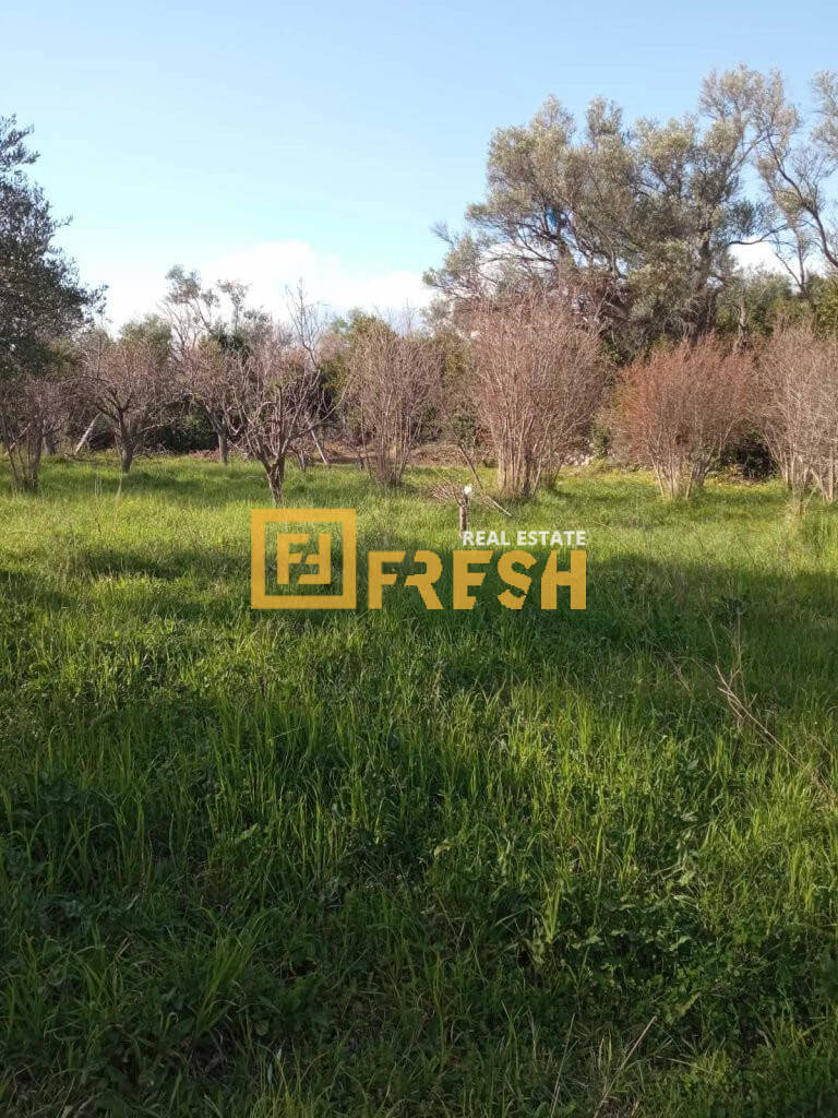 Voćnjak na placu 2 272m2 Bar Prodaja Fresh Estate