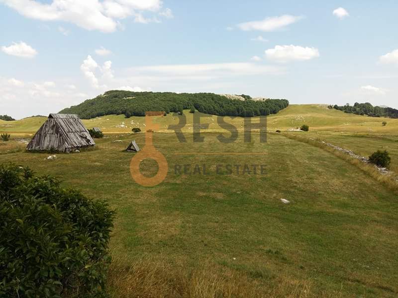 Zemljište, 16.497m2, Žabljak, Prodaja - 1 Zemljište, 16.497m2, Žabljak, Prodaja - 1
