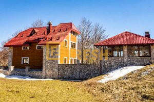 Unikatna lux kuća, 402m2, Cetinje, Prodaja - 1