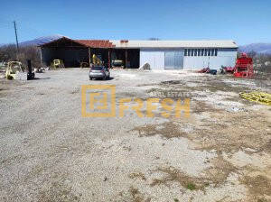 Magacin, 450m2, Novo Selo, Prodaja - 1