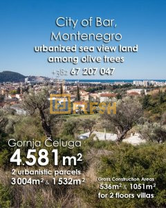 Urbanizovano zemljište 4581m2 pogled na more među stablima maslina - 1