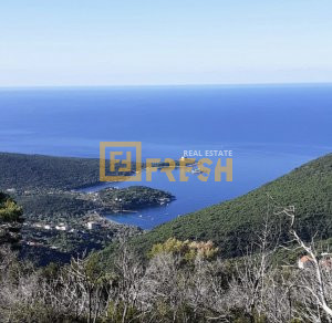 Plac, 8000m2, Herceg Novi, Prodaja - 1