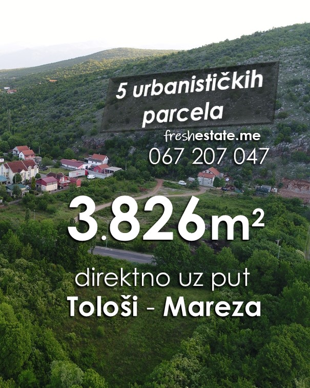 3826m2 Tološi, uz glavni put ka Marezi - 1