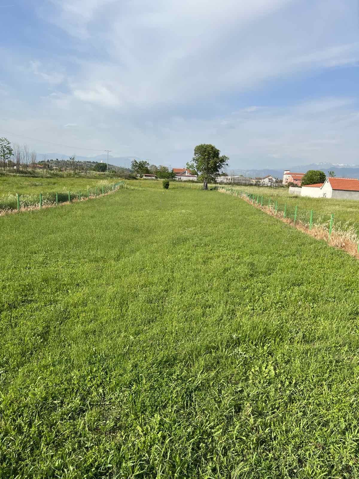 Urbanizovan plac, 1.600m2, Zeta, Prodaja - 1