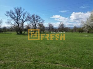 Plac, 1000m2, Donji Martinići, Prodaja 1