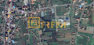 Plac, cca 8000m2, Golubovci, Izdavanje 1