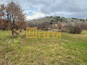 Urbanizovan plac, 1000m2, Dajbabe, Prodaja - 1