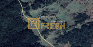 Plac, 11560m2, Žabljak, Prodaja - 1
