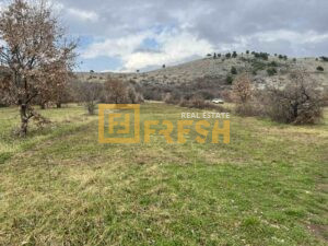 Urbanizovan plac, 600m2, Dajbabe, Prodaja - 1