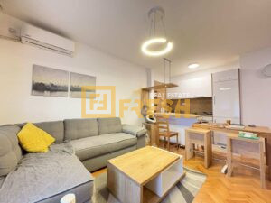 Jednosoban namješten stan, 40m2, Preko Morače, Prodaja - 1