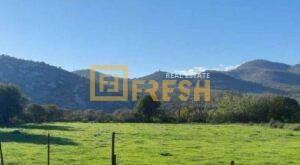 Plac, 685m2, Donji Kokoti, Prodaja - 1