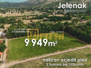 Vrhunska zemlja, 9949m2, Jelenak, Danilovgrad, Prodaja - 1