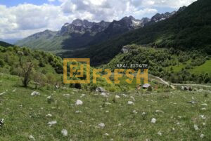 Plac, 32000m2, Kolašin, Prodaja - 1