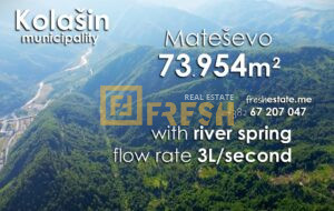 73954m2, izvor 3L/sek, 10min od grada i auto puta, Kolašin - 1