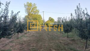 Imanje, 3800m2, Danilovgrad, Prodaja - 1