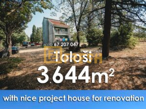 3.644m2 + kuća 218m2, Tološi - 1