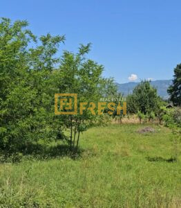 Plac, 565m2, Jastreb, Prodaja - 1
