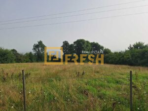 Plac, 6104m2, Danilovgrad, Prodaja - 1