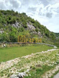 Imanje, 49212m2, Cuce, Prodaja - 1