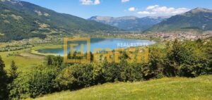 Imanje, 54553m2, Plav, Prodaja 1