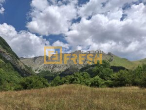 Imanje, 162000m2, Kolašin, Prodaja - 1