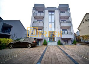 Jednosoban stan, 54m2, Stari Aerodrom, Izdavanje - 1
