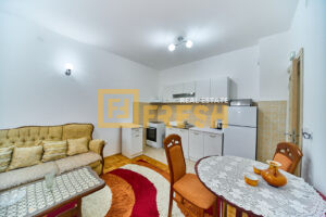 Jednosoban stan, 42m2, Stari Aerodrom, Izdavanje - 1