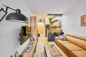 Garsonjera 30m2, Blok 9, Prodaja - 1 Garsonjera 30m2, Blok 9, Prodaja 1