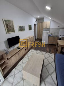 Garsonjera, 25m2, Dalmatinska, Izdavanje 1