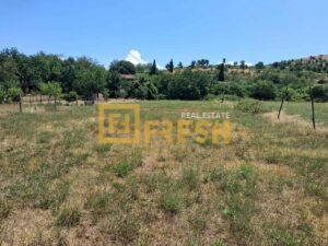 Plac, 1213m2, Dajbabe, Prodaja - 1 Plac, 1213m2, Dajbabe, Prodaja - 1