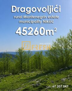45260m2 Dragovoljići, Nikšić - 1 45260m2 Dragovoljići, Nikšić - 1