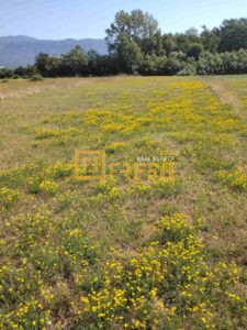 Prodaja, Plac, 1150m2, Kosic - 1 Prodaja, Plac, 1150m2, Kosic - 1