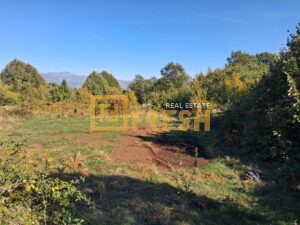 Plac 8500m2, Danilovgrad, prodaja - 1